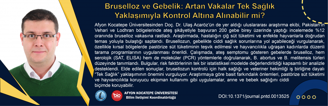 bruselloz ve gebelik