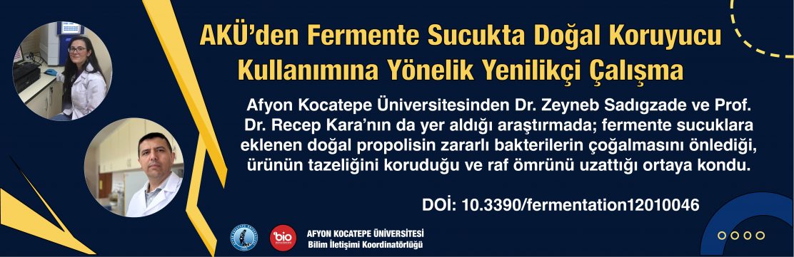 fermente sucuk