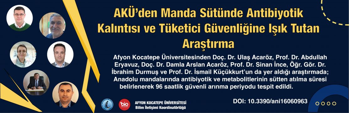 anadolu mandası